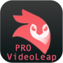 icon assistant For videoleap(Android VideoLeap Editor PRO Guide
)