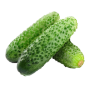 icon tj.agroinform.cucumber(Salatalık: 