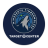 icon Timberwolves(Minnesota Timberwolves) 6.2.4