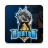 icon 14