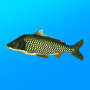 icon com.andromeda.truefishing(Gerçek Balık Tutma. Simulator)