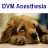 icon DVM Anesthesiology(DVM Anesteziyolojisi) 2.31