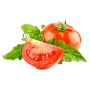 icon tj.agroinform.tomato(: 