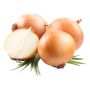 icon tj.agroinform.onion(Soğanlar: A dan I ye)