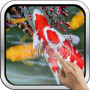 icon Interactive Koi Fish Live Wallpaper(İnteraktif Koi Balık 3D)
