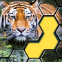 icon Jigsaw hexa puzzle(Jigsaw Hexa Puzzle)