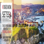 icon Congreso SETSS (Kongresi XI Pelvik Taban)