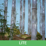 icon Bamboo Forest 3D Lite(Bambu Ormanı Duvar Kağıdı Lite)