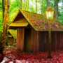 icon Mystery Forest House Escape (Gizem Orman Evinden Kaçış
)