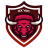 icon OX VPN(Hızlı ve Güçlü VPN : OX VPN) 10.1