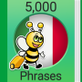 icon Italian Fun Easy Learn5,000 Phrases(İtalyanca Öğrenin - 5.000 Cümle)