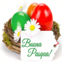 icon Auguri Di Buona Pasqua(En iyi dileklerimle Mutlu Paskalyalar)