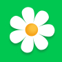 icon Flor2U: заказ, доставка цветов (Flor2U : sipariş, çiçek teslimatı)
