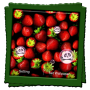icon Strawberry Live Wallpaper (Çilek Canlı Duvar Kağıdı)