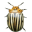 icon Colorado Potato Beetle(Beetle Zombi Kazası) 1.5.5