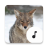 icon Coyote Sounds(Çakal Sesler) 4.5.2