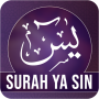 icon Surah Yaseen(Suresi Yaseen)