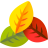 icon Leaf Video Editor(Leaf Video Editor
) 1.27