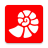 icon 9.5.2