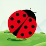 icon Ladybug Catcher (Uğur Böceği Catcher)