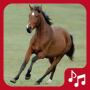 icon Horse sounds(Horses Sounds for Cell Phone ücretsiz.
)