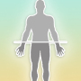 icon Bodyfat % Muscle and Calories ()