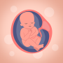 icon com.pregnancytracker.tm(беременности
)