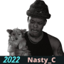 icon Nasty C All Songs MP3(Nasty C Tüm Şarkılar MP3
)