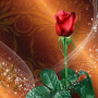icon Roses Live Wallpaper(Güller Canlı Duvar Kağıdı)