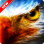 icon Eagle Wallpaper(Kartal Duvar Kağıdı)