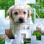 icon PicPu Dog Puzzle(PicPu - Köpek Resmi Bulmaca)