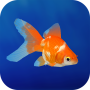 icon Goldfish 3D Relaxing Aquarium (Japon Balığı 3D Rahatlatıcı Akvaryum)