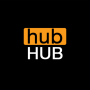icon hub VPN