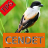 icon Tips Perawatan Cendet(Cendet Kuş Bakımı için ipuçları) 1.8