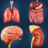 icon My Organs Anatomy(Organlarım Anatomisi) 3.8