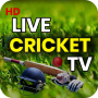 icon Live Cricket TV - Live Score (Canlı Kriket TV - Canlı Skor
)