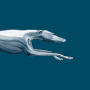 icon Greyhound(Greyhound: Otobüs Bileti Satın Alın)