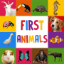icon First Words for Baby: Animals (Bebek için ilk kelimeler: Hayvanlar)