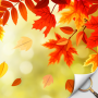 icon Hidden Object - Autumn Garden (Gizli Nesne - Sonbahar Bahçe)