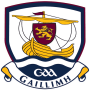 icon Galway GAA