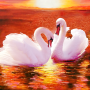 icon The Swan(Kuğu
)