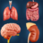 icon My Organs Anatomy(Organlarım Anatomisi) 2.9