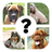 icon QUIZ: Razas de perro(TÜM SINAV: Razas de perro
) 8.4.4z