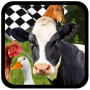 icon FarmRace(Çiftlik Yarışı)