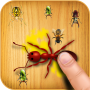 icon AntSmasherGame(Ant Smasher Oyunu)