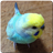 icon Budgerigar Sounds(Muhabbet kuşu papağan için sesler) 1.92