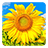 icon Golden Sunflower Live Wallpaper(Altın Ayçiçeği LWP) 3.1
