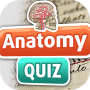 icon Anatomy Quiz(Anatomy Bilgi Yarışması)