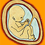 icon FetalKickCount(Fetal Kick Sayısı)