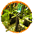 icon The Maze Runner(Labirent Oyunu) 1.7.1
